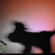 Illustration for article titled Shooting Challenge: Shadows (Part 2)